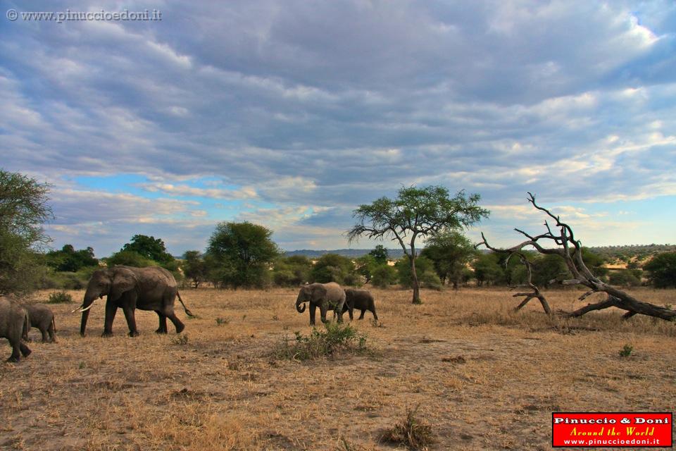 TANZANIA - Tarangire National Park - 33.jpg